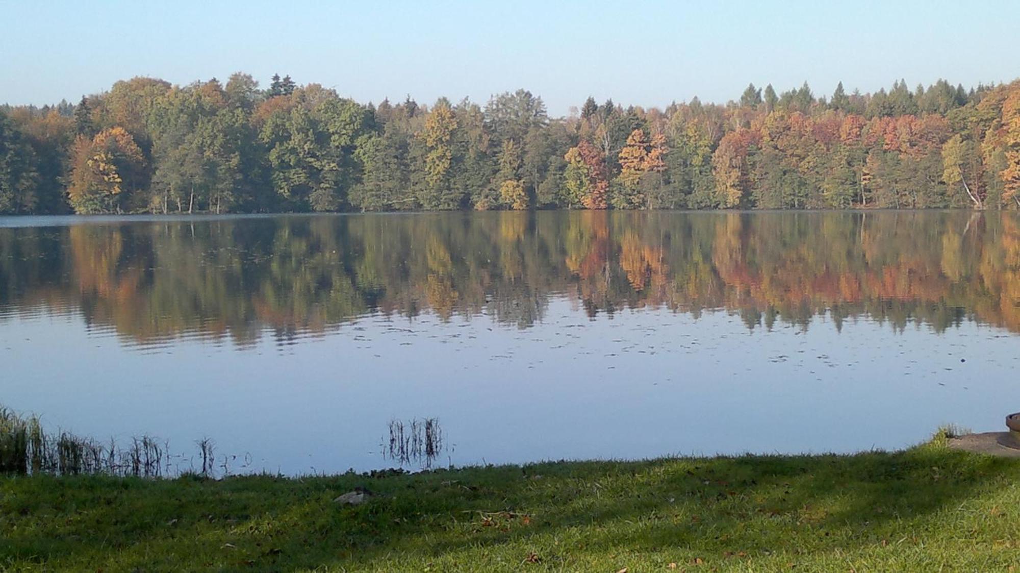 Zajazd Zamkowy - Schlossgasthof Krąg Kültér fotó